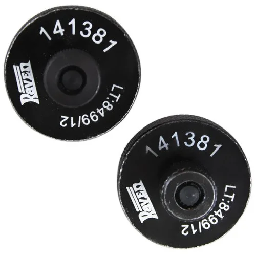 Conjunto com 2 Ferramentas para Fasagem dos Eixos de Comando de Válvulas - RAVEN-141381